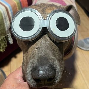 Meet your Posher, Mandy